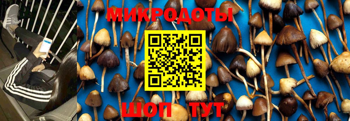Галлюциногенные грибы MAGIC MUSHROOMS Саянск