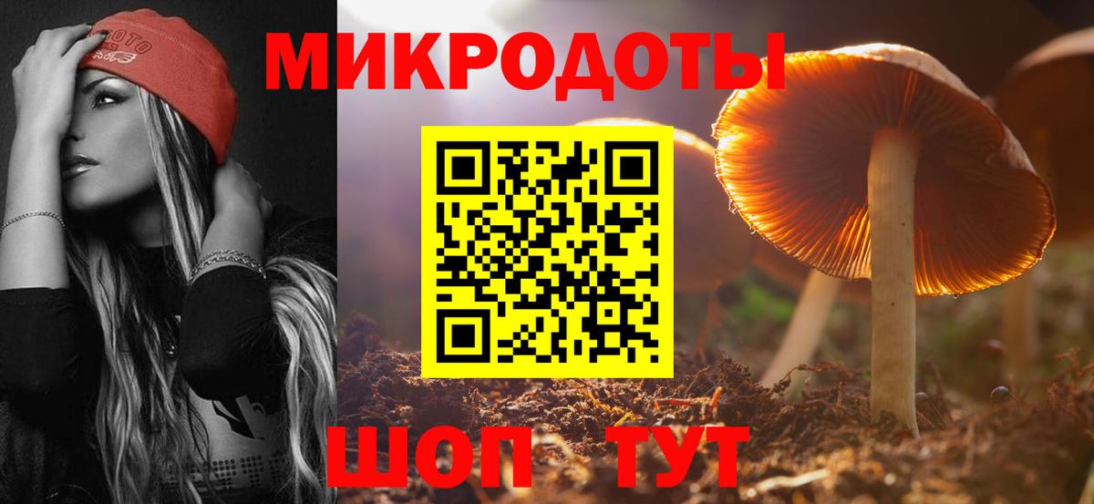 Псилоцибиновые грибы мицелий  где найти наркотики  Вход с VPN  Саянск  Галлюциногенные грибы ЛСД 