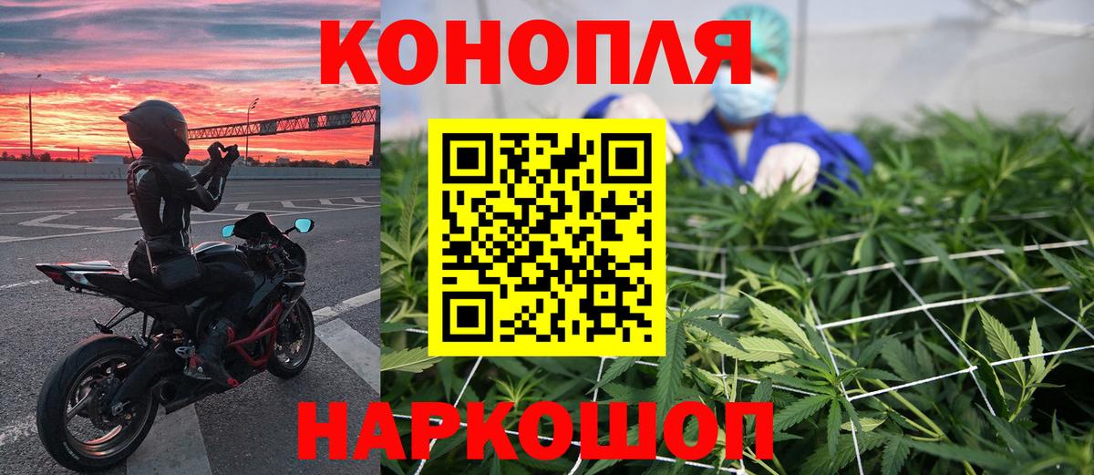 Марихуана сатива Саянск